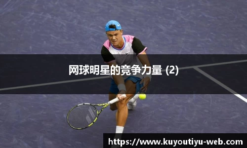 网球明星的竞争力量 (2)